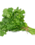 Coriander Leaves