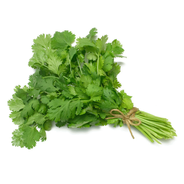 Coriander Leaves