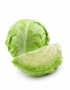Cabbage