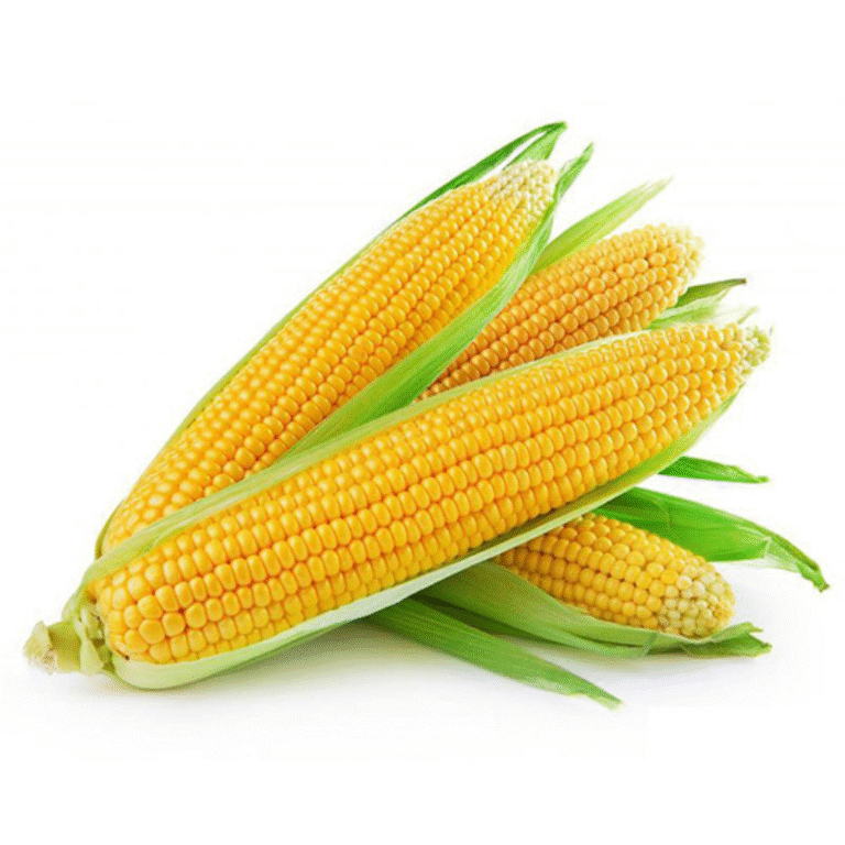 Sweet corn