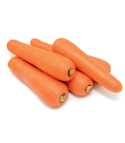 Carrot