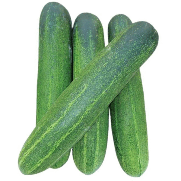 Cucumber Green