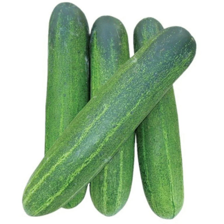 Cucumber Green