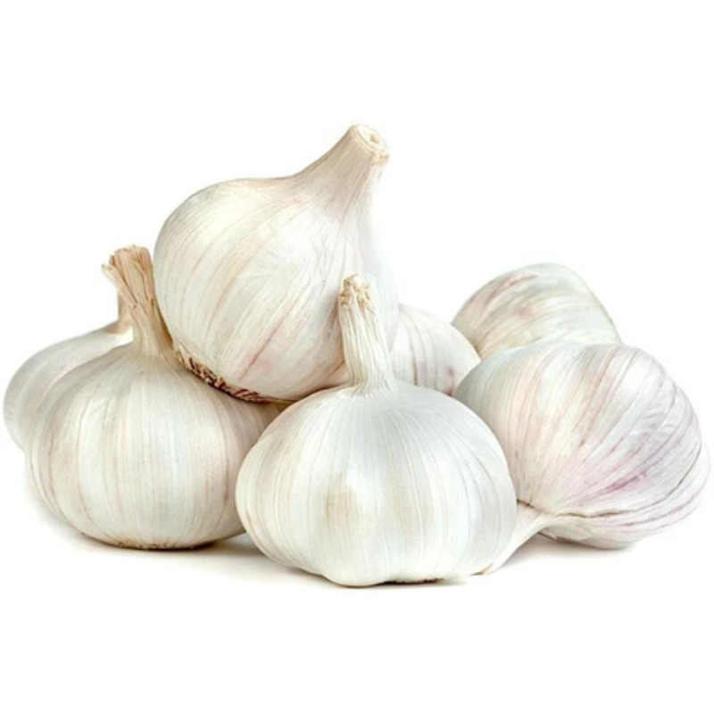 GARLIC - लहसुन Garlic (Lahsun)