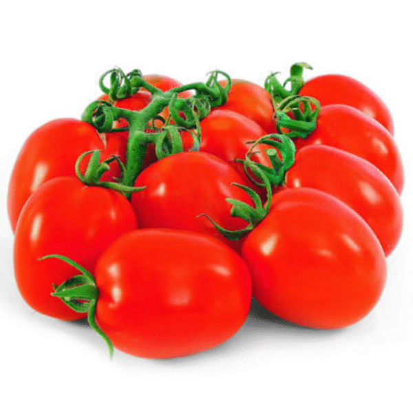 tomato hybrid
