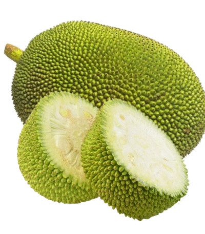 Jackfruit (Kathal_कटहल)