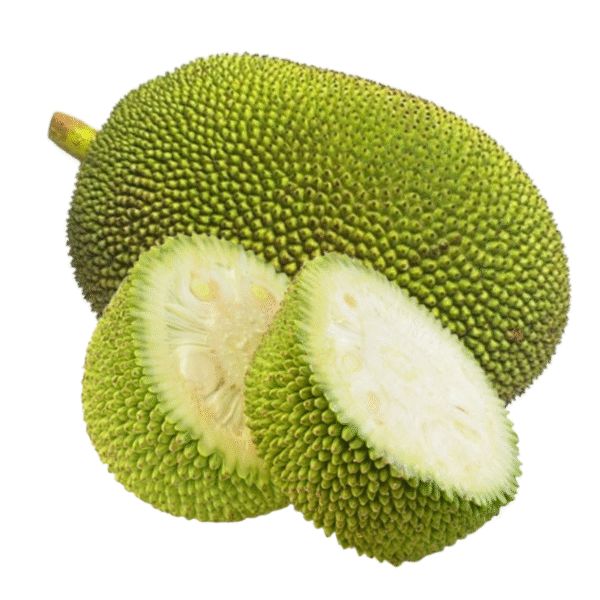 Jackfruit (Kathal_कटहल)