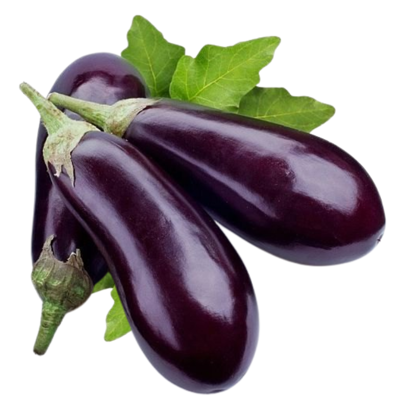 Long Brinjal (बैंगन लंबा)