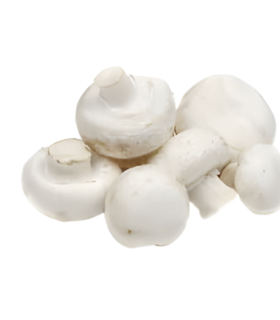 Mushroom (Khumb / मशरूम)