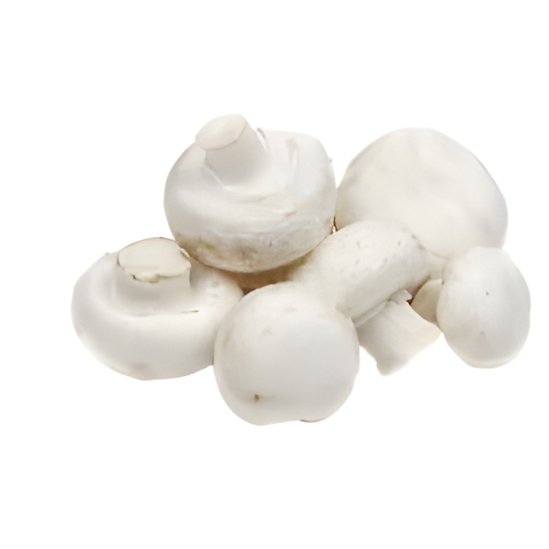 Mushroom (Khumb / मशरूम)