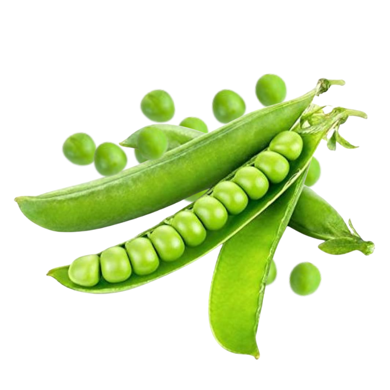 Pea (मटर)