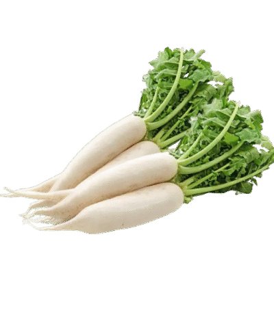 White Radish (Mooli / मूली)
