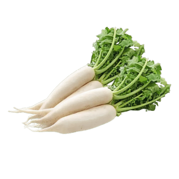 White Radish (Mooli / मूली)