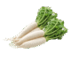 White Radish (Mooli / मूली)