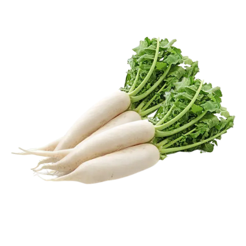 Radish (Mooli _ मूली) White Radish (Mooli / मूली)